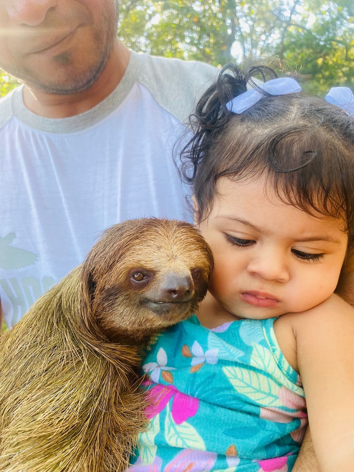 Santuario de aves y perezosos en Roatán